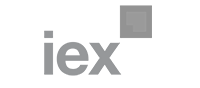 IEW Logo